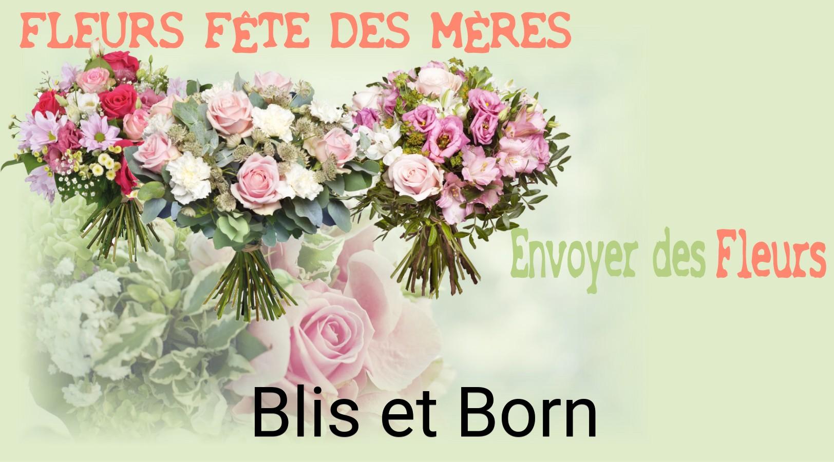 Bouquet de Fête des Mères livré à Blis-et-Born